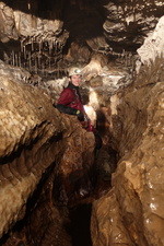 Thumbnail of photo from this article